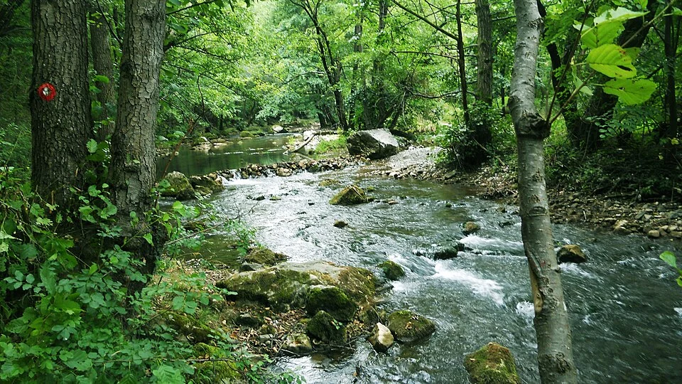 Reka Gradac: Neotkrivena Prirodna Lepota Srbije
